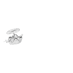LA BELLE VIE